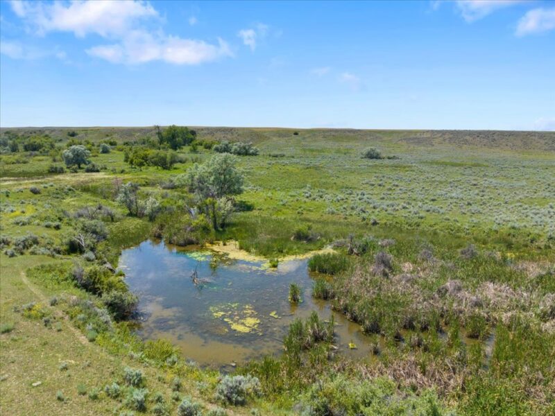 Pond for stock water on Montana ranch