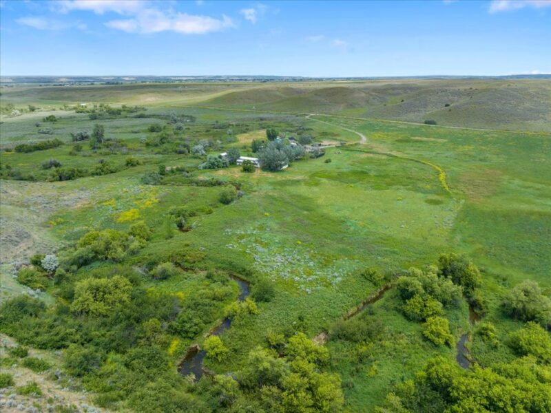 Aerial photo of green grass in pastures, winding creek, and ranch headquarters in the distance.