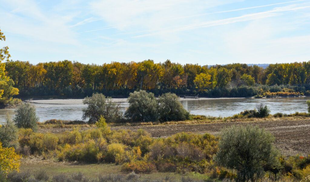 Yellowstone River frontage with trees turning for Fall