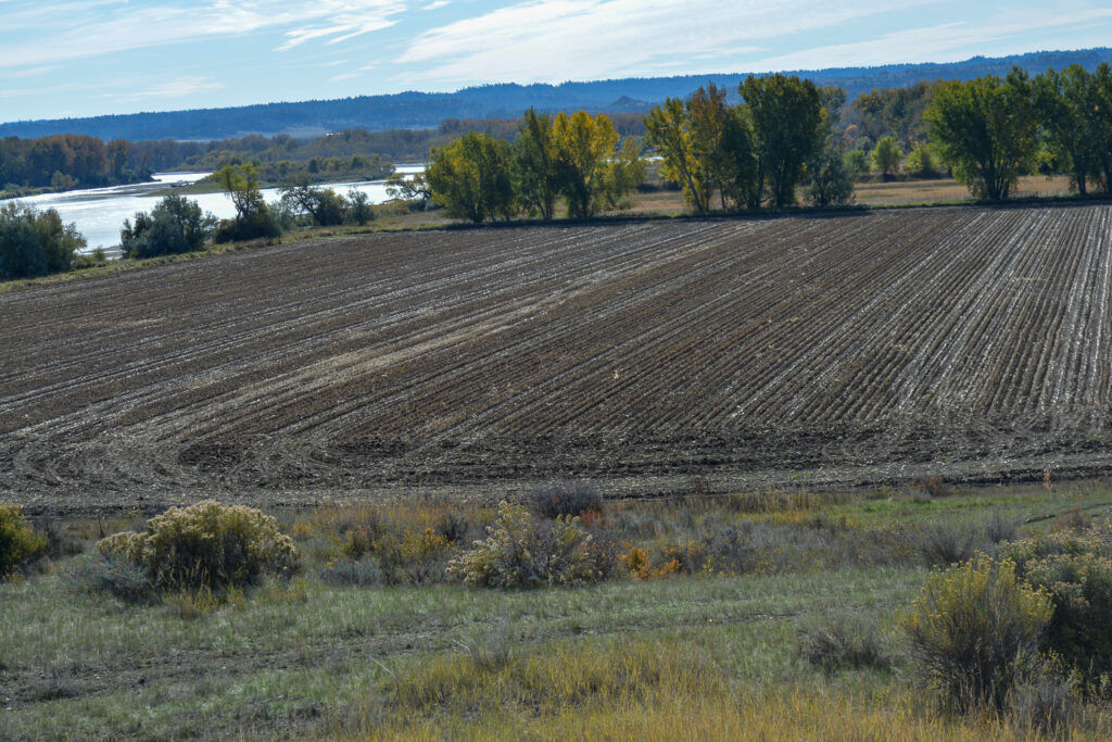 Irrigated farm land and Yellowstone River frontage