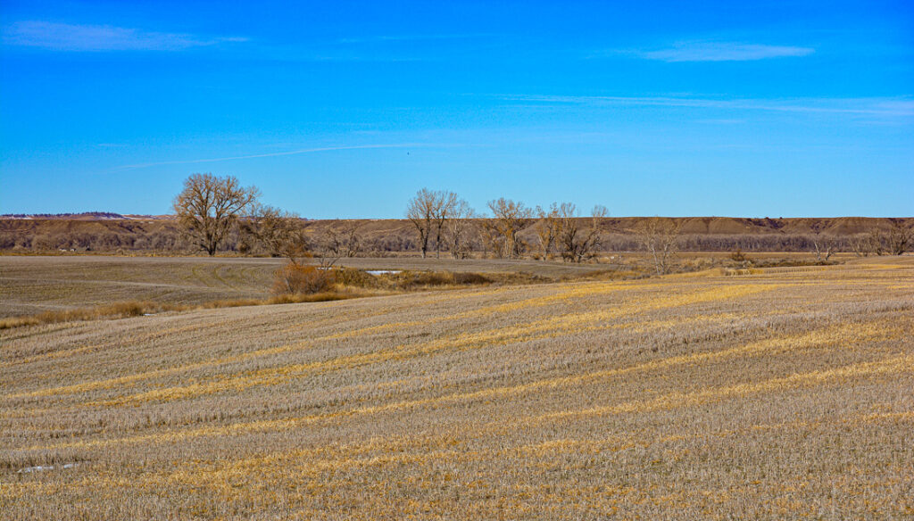 Farmland and homesite potential with views of the Yellowstone River Valley.